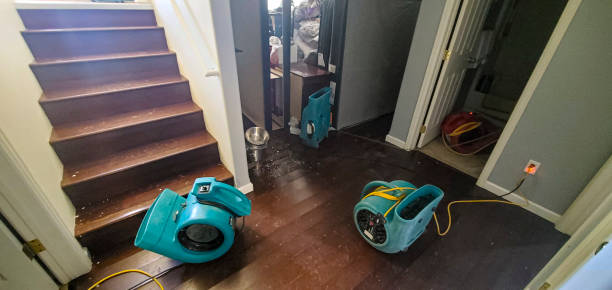  Sanger, CA Water damage restoration Pros