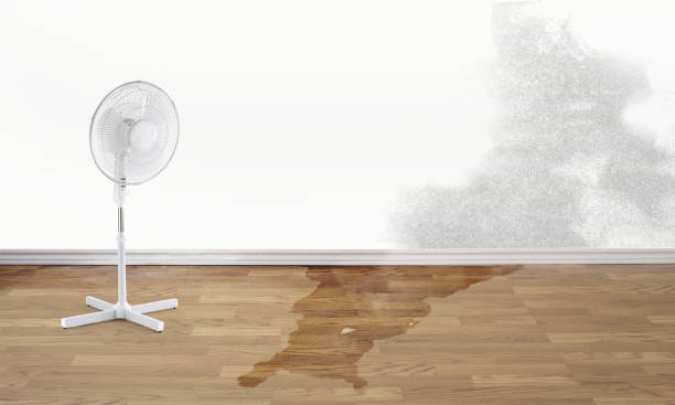 Best Carpet water damage restoration  in Sanger, CA