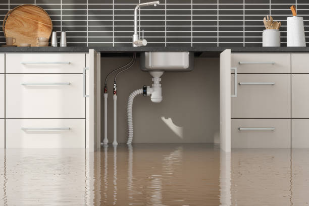 Best Water damage restoration cost  in Sanger, CA